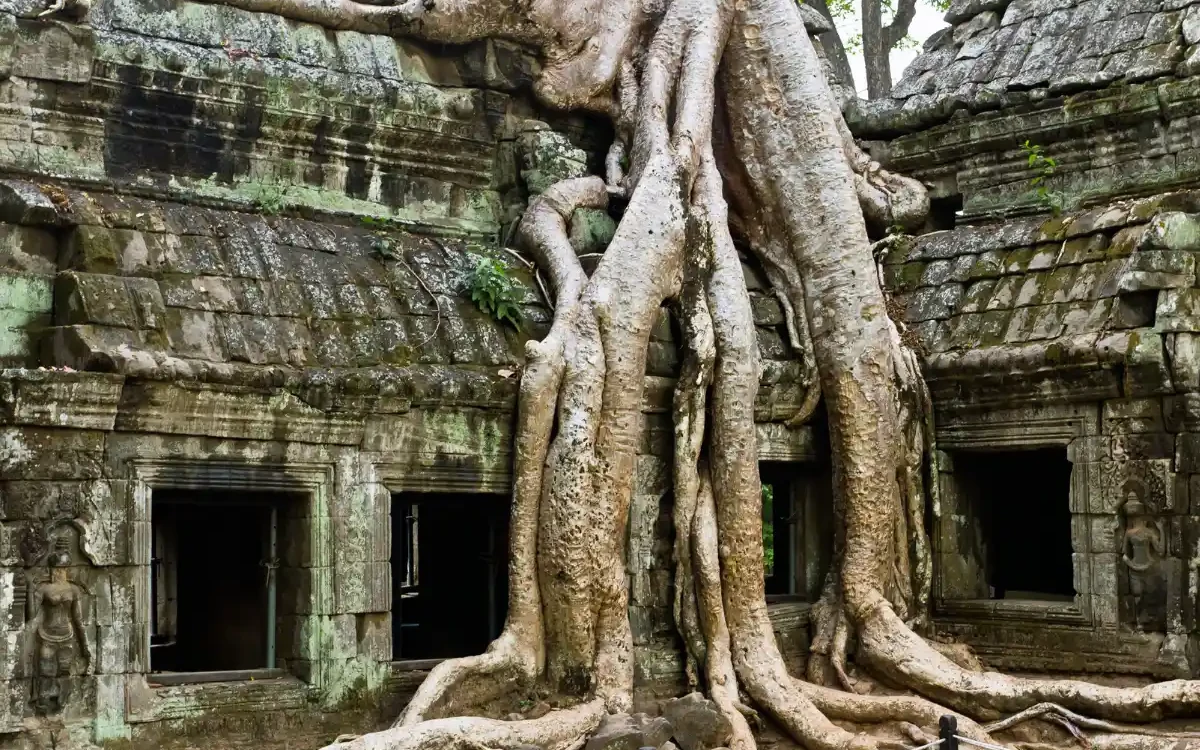 Та-Пром — Ta Prohm Temple и корни деревьев в Ангкоре