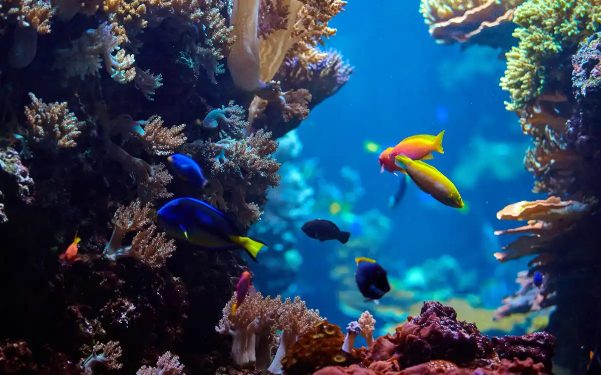 Океанариум Underwater World Pattaya Подводный мир