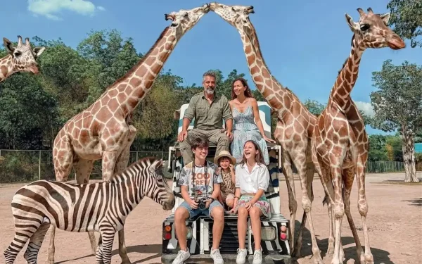Жирафы, зебры и фотосессия на джипе в Safari Park Канчанабури